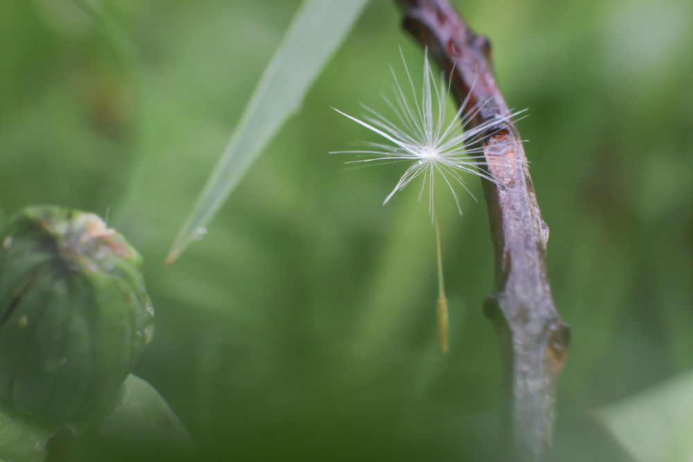 Photograph by Анастасия