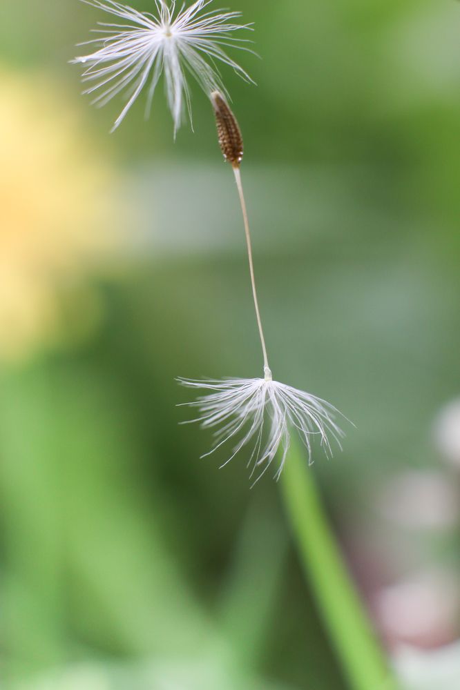 Photograph by Анастасия