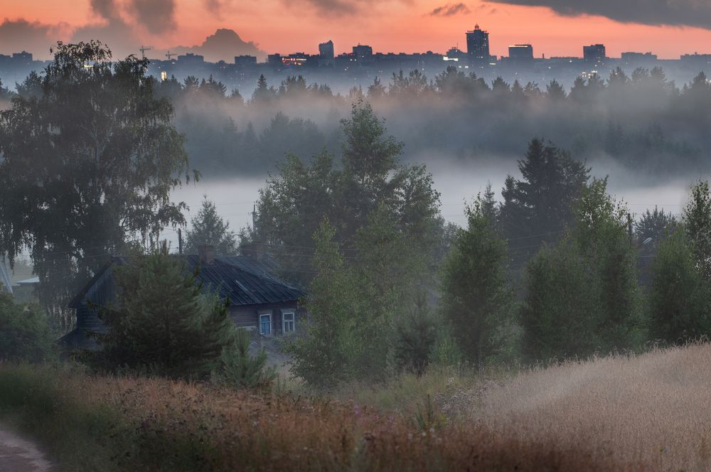 Photograph by Дарья