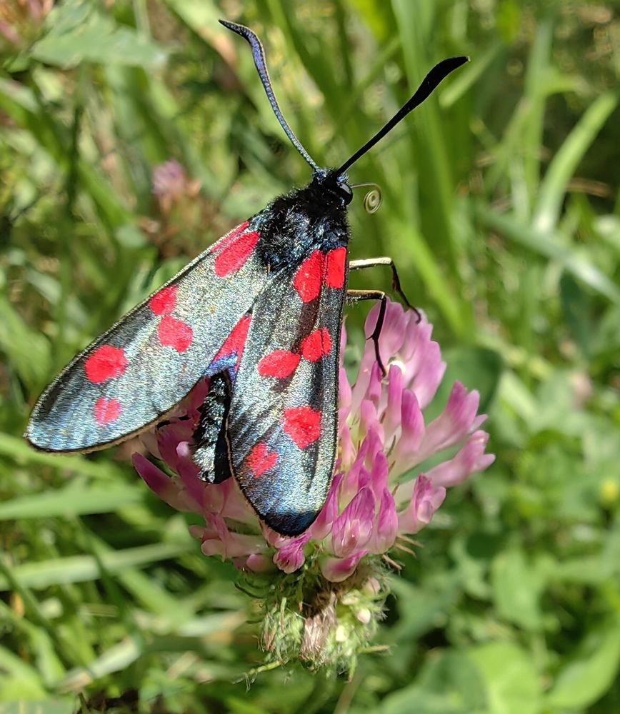 Photograph by Maiya Bulatova