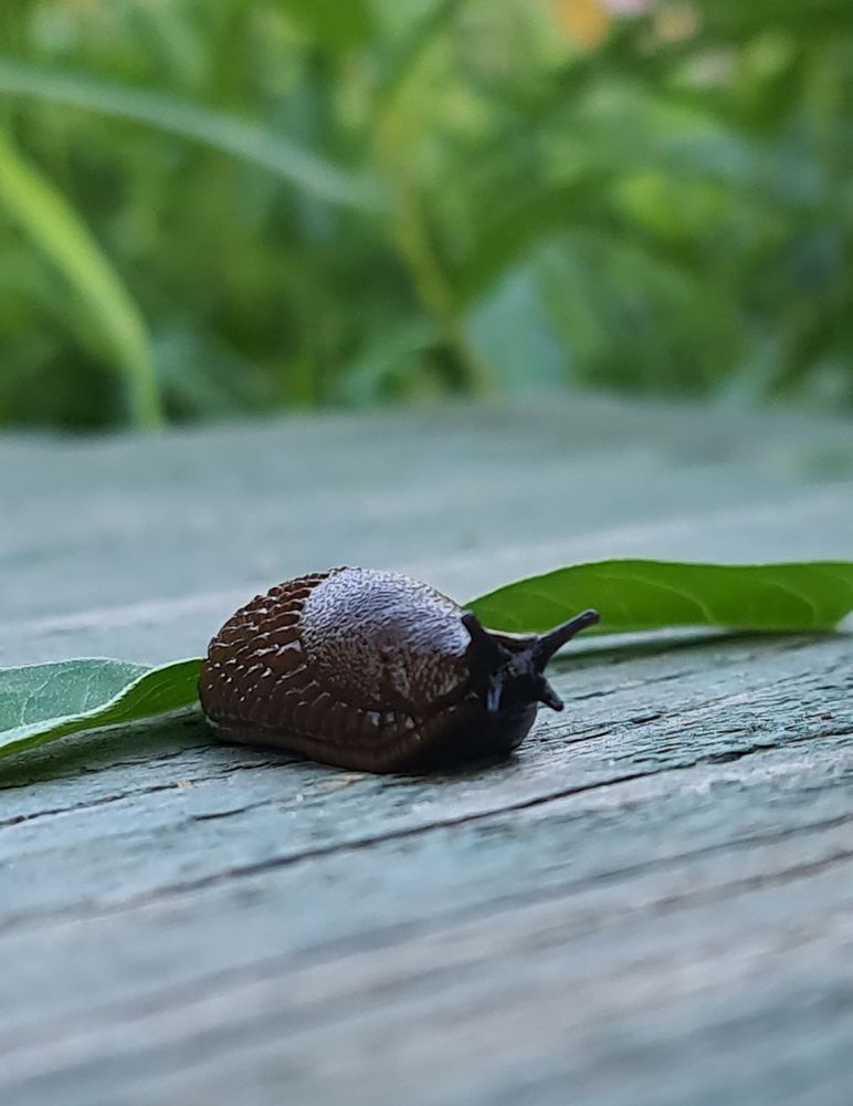 Photograph by Татьяна Дмитриева