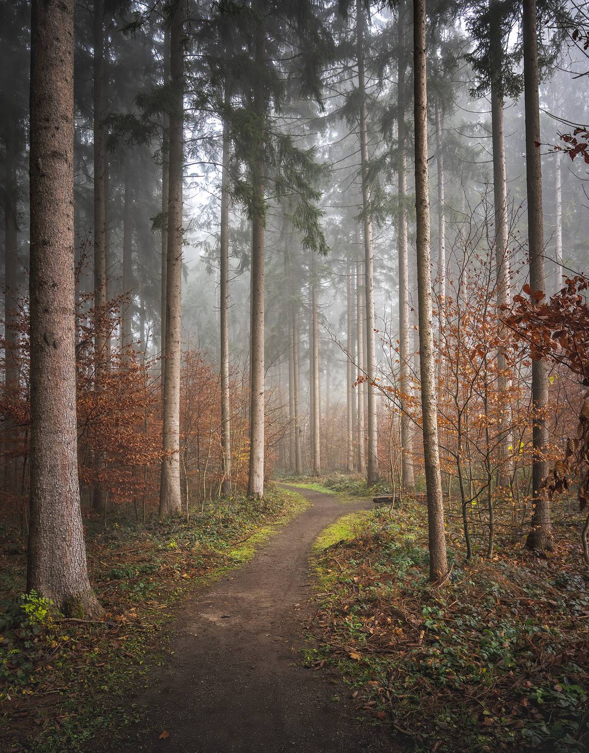 Фотография #9335968