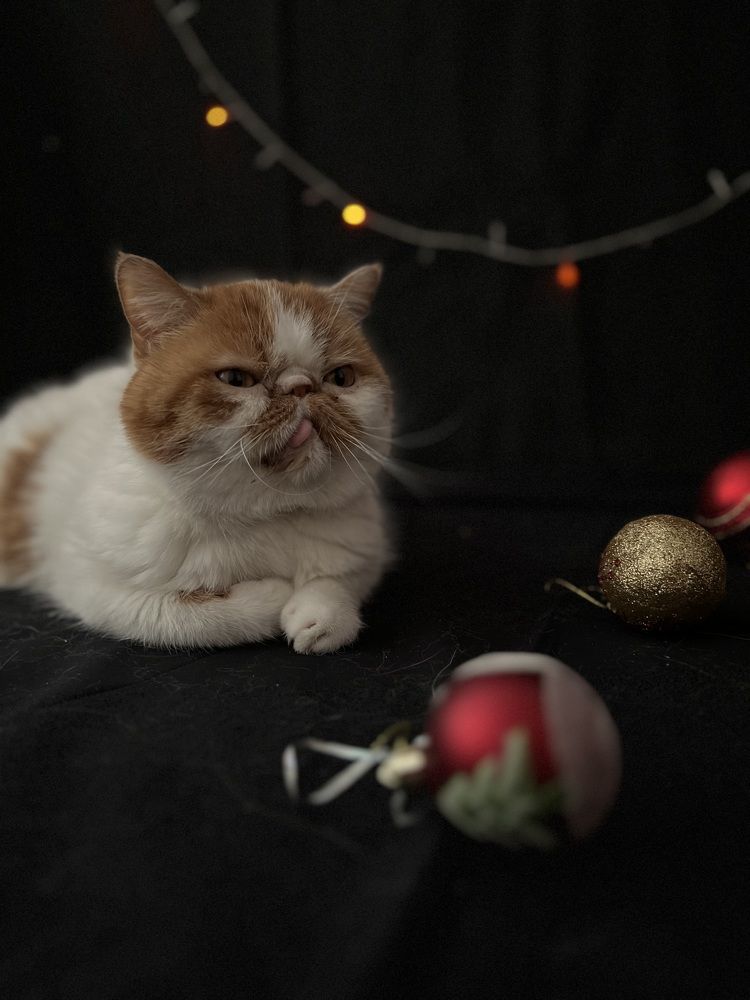 Photograph by Виктория Кузнецова