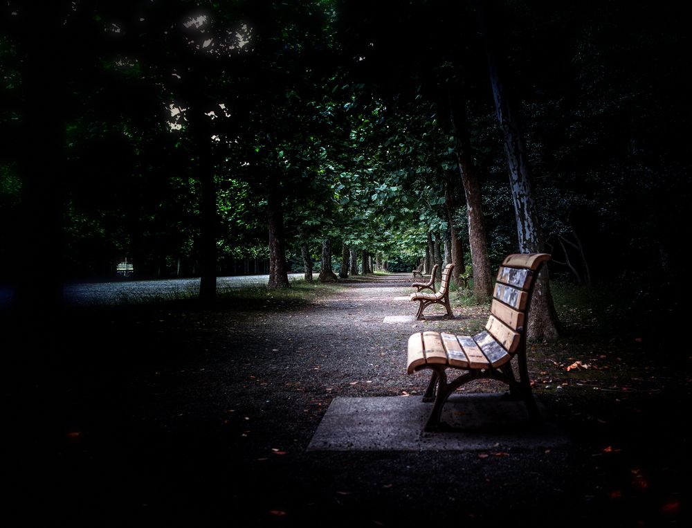 Photograph by Басалаев Евгений