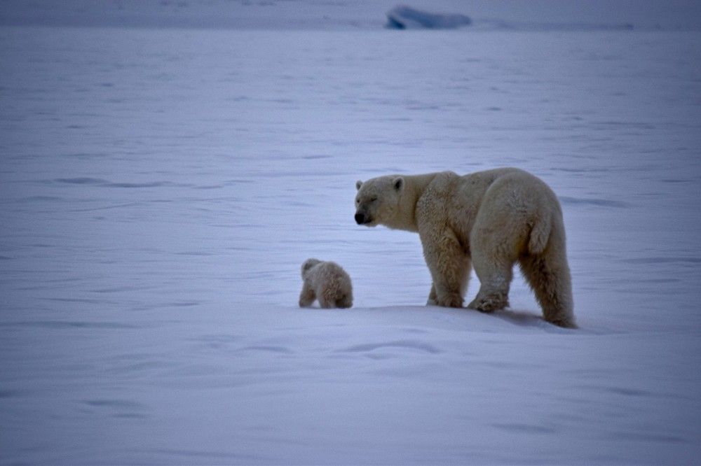 Photograph by Алексей Логинов