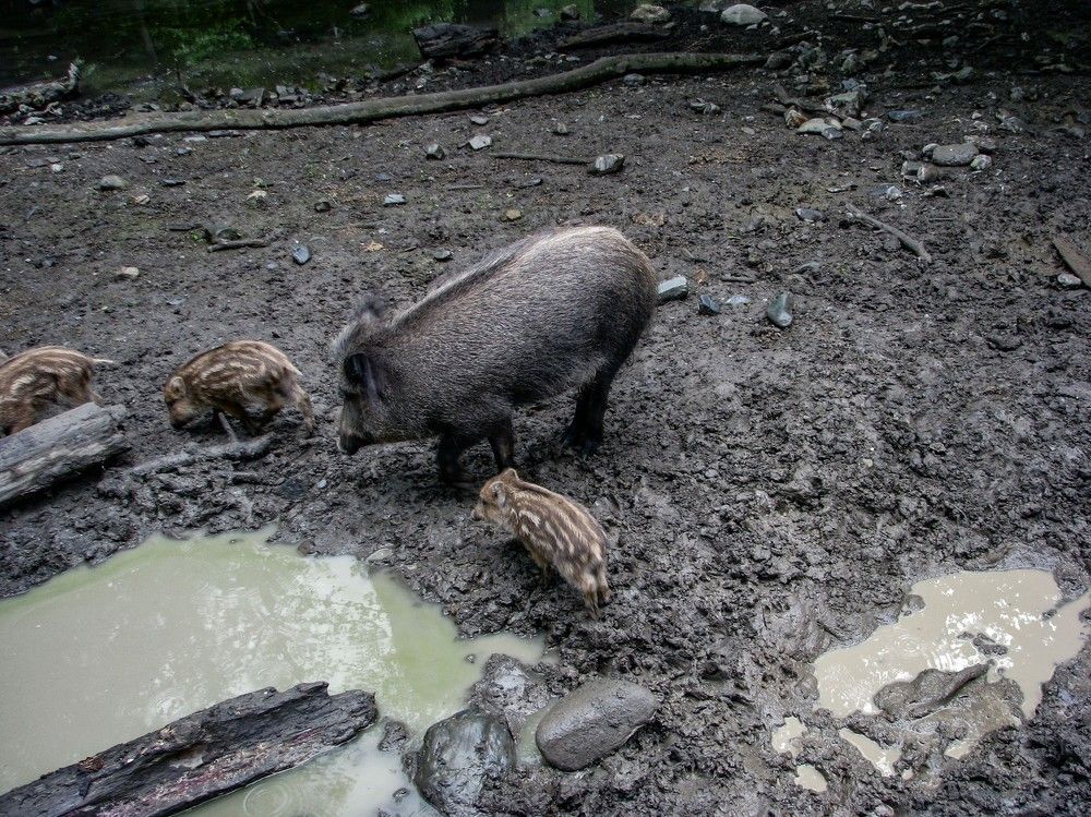 Photograph by Алексей Логинов