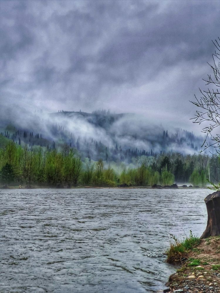 Photograph by Ольга Веселова