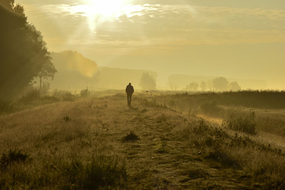 Photograph by ruurd visser