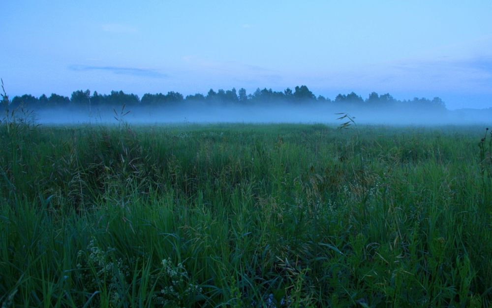Фотография автора Nelya  Lysenko
