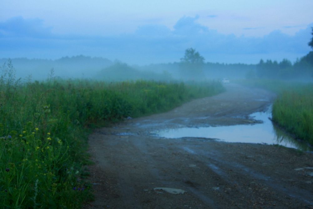 Фотография автора Nelya  Lysenko