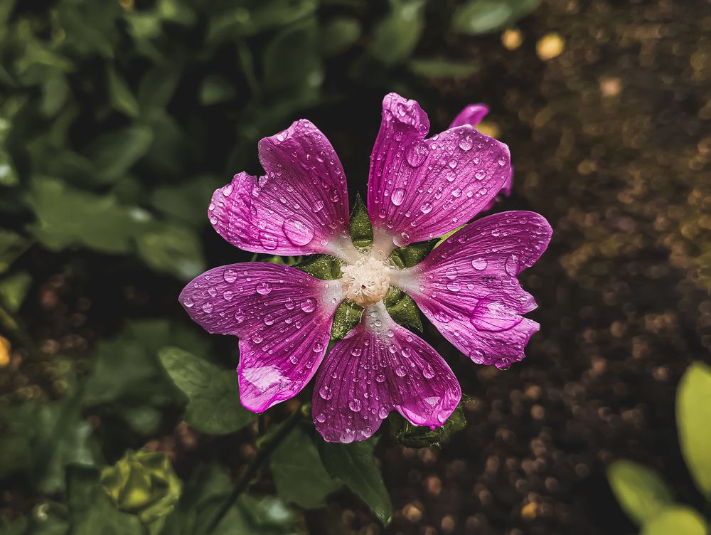 Photograph by Александр Безуглый