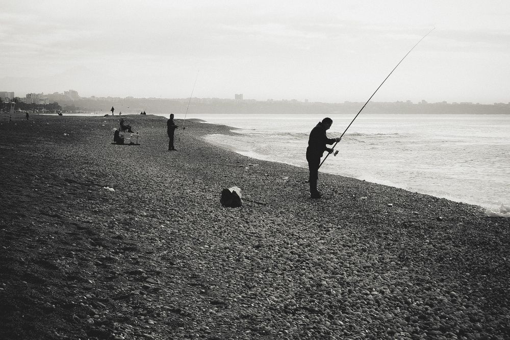 Photograph by Alp Aysgl