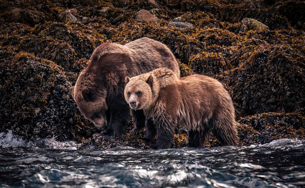 Photograph by Lukas Trixl