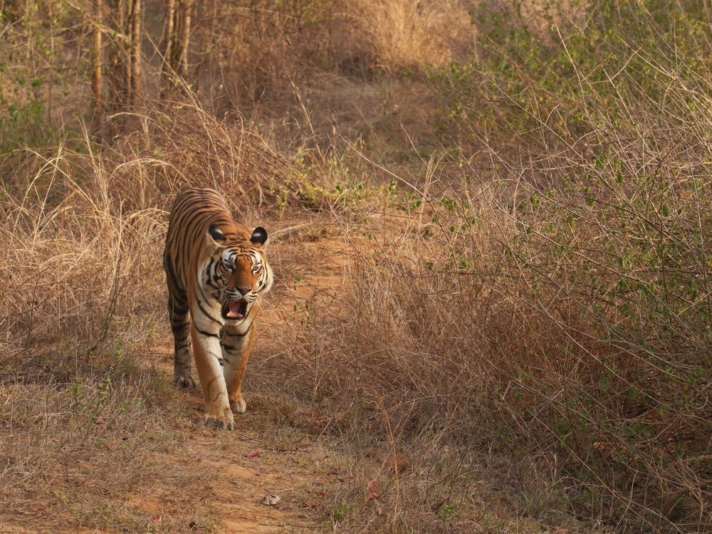 Photograph by Premal Nandpal