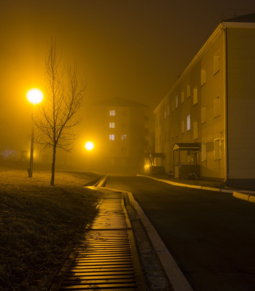 Photograph by Sergey Tsubanov