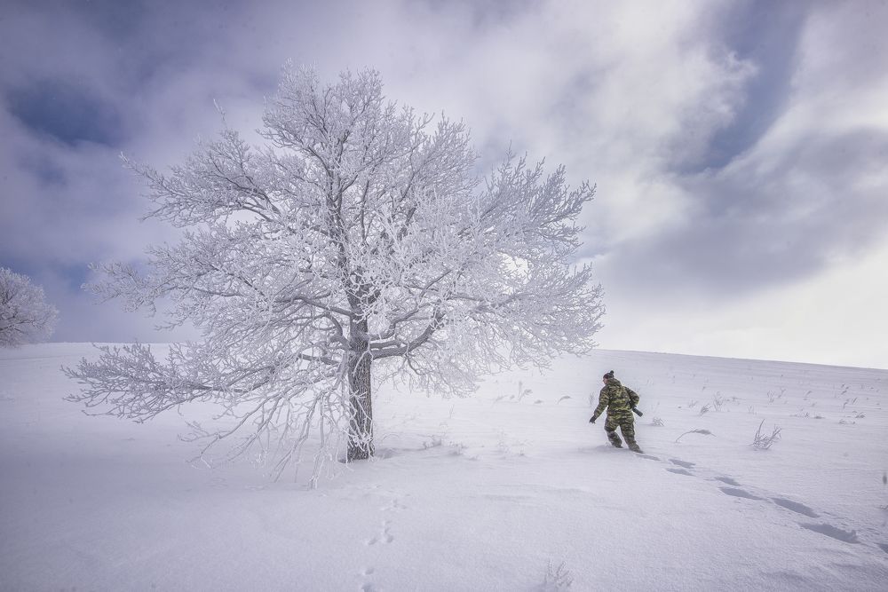 Фотография автора Антонов Антон