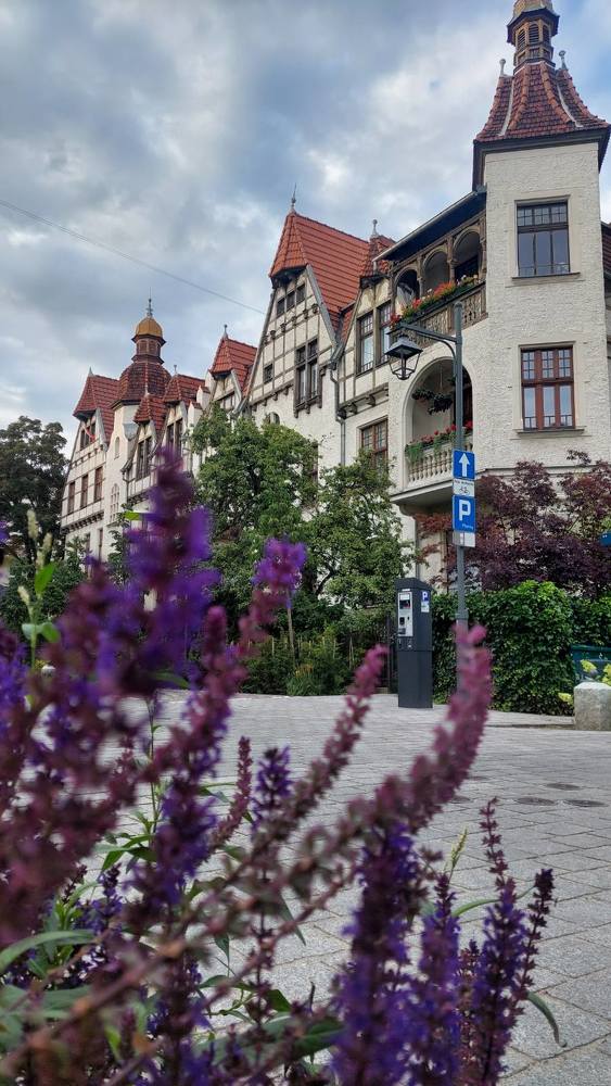 Photograph by Svitlana Usatenko