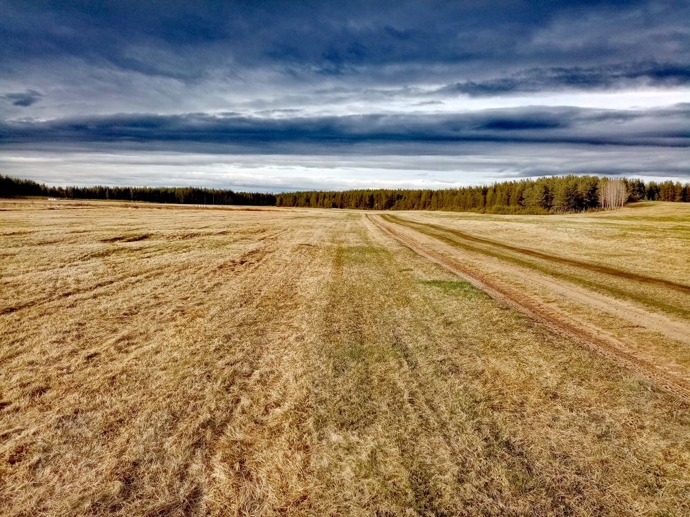 Photograph by Екатерина Филина