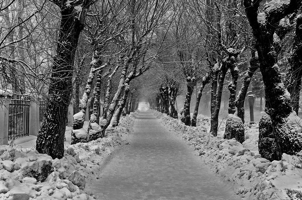 Photograph by Даниил Марков