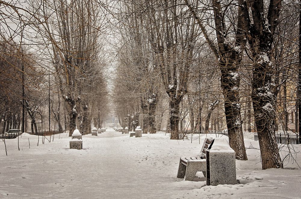 Photograph by Даниил Марков