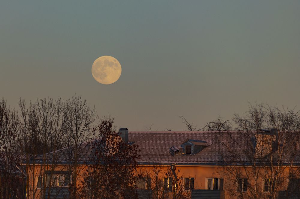 Photograph by Лилия Кондратьева