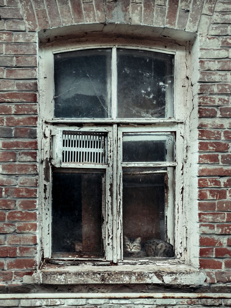 Photograph by Виктор Карпухин