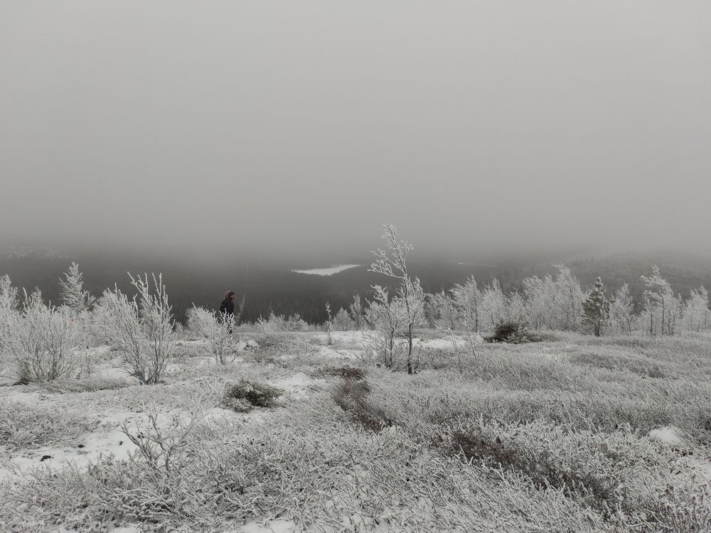 Photograph by Алексей Кириллов