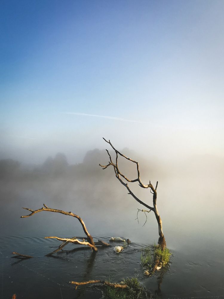 Photograph by Горбова Юлия