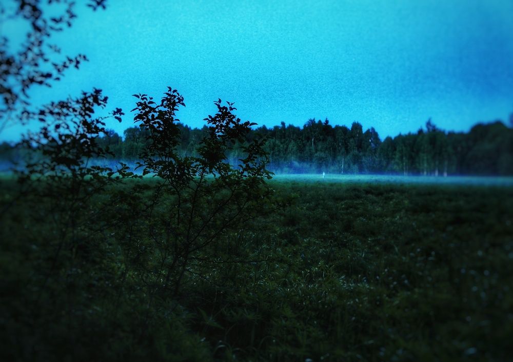 Photograph by Мария Андреева