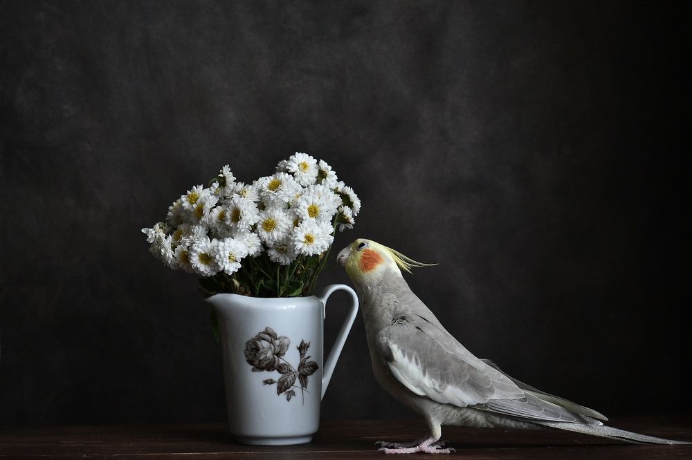 Фотография автора лилия беланова