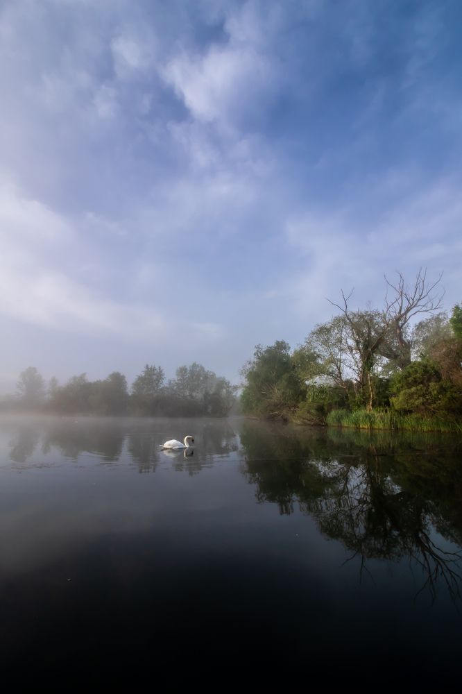 Photograph by Алёна Газукина