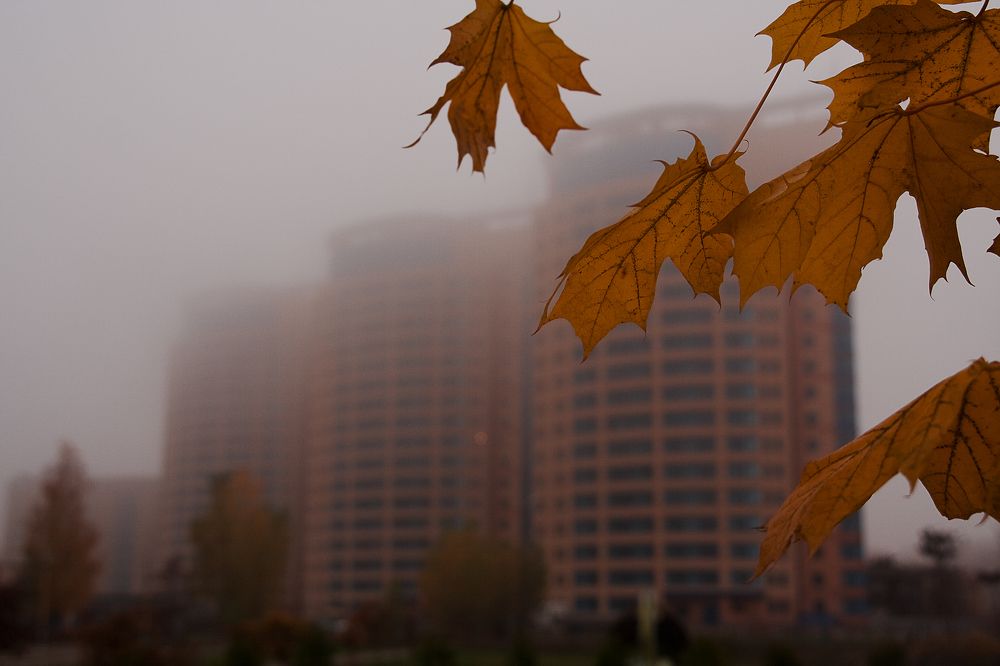 Тунное утро