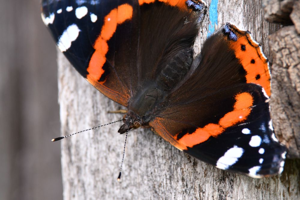 Photograph by Романов Денис