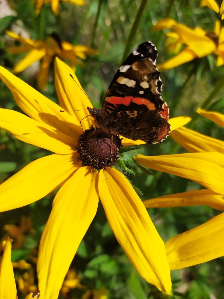 Photograph by Olga Kot