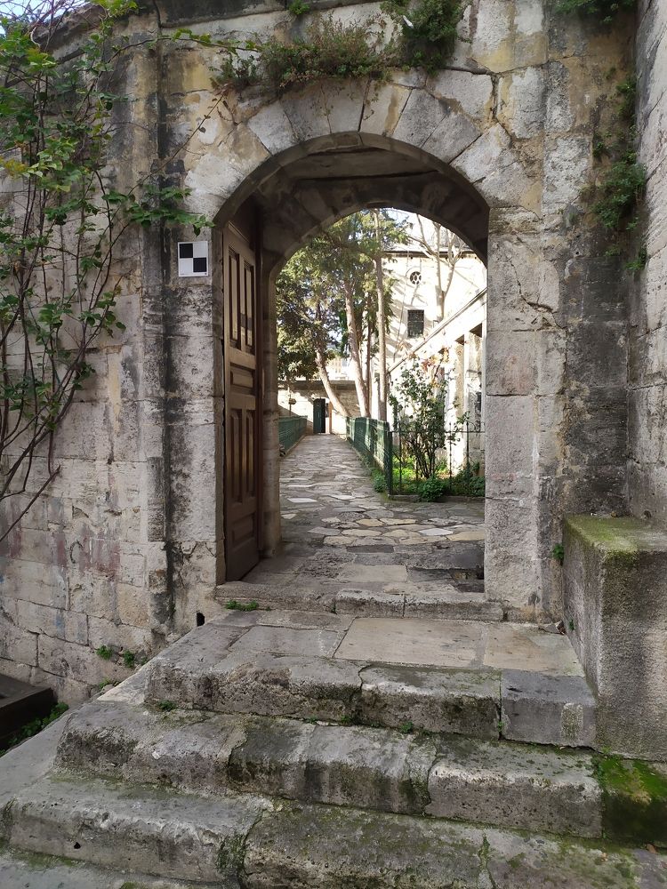 Photograph by Olga Kot