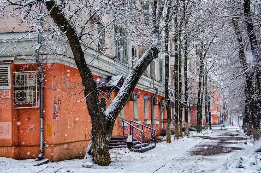 Photograph by Даниил Марков