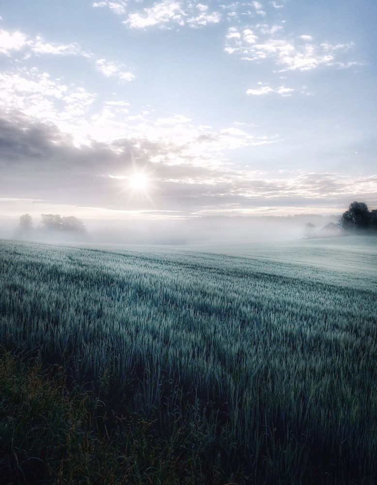 Фотография автора Alina Filimonova