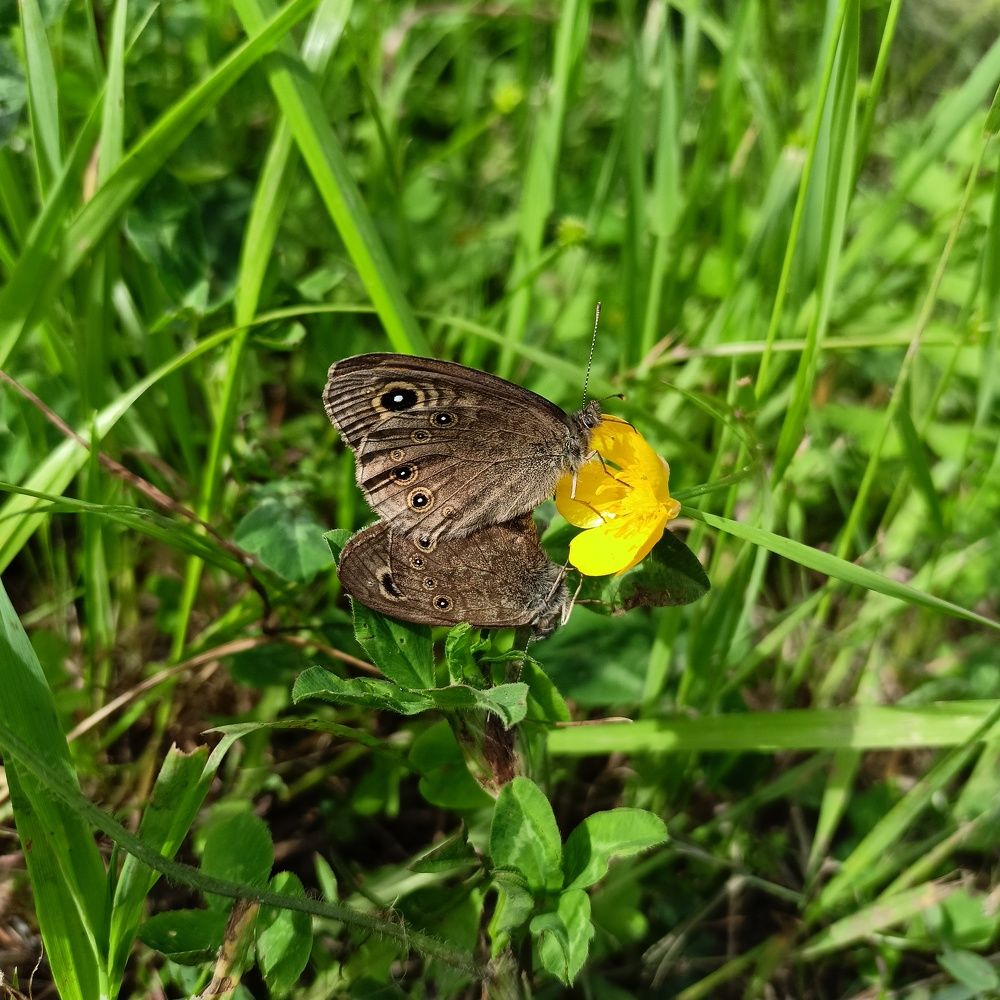 Photograph by Анастасия Горбачева