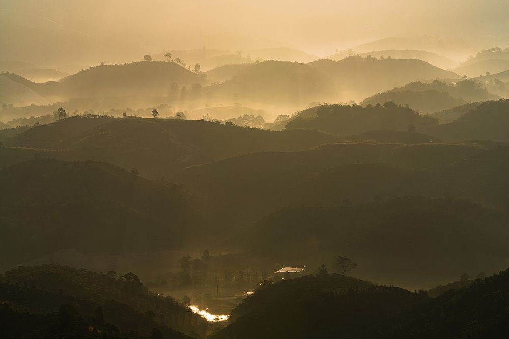 Photograph by Tran Phuong