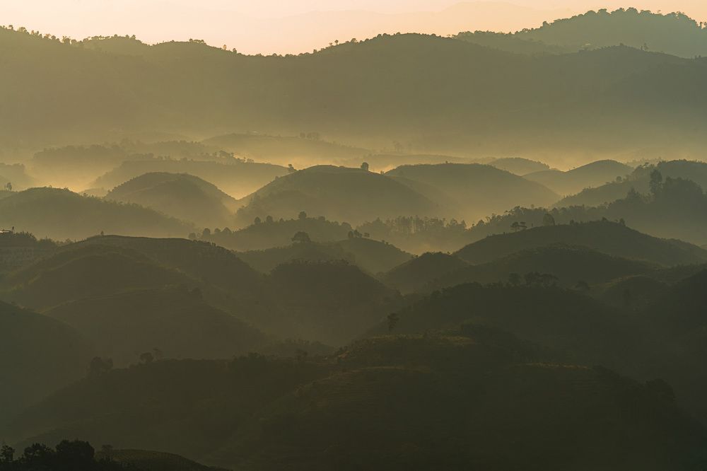 Photograph by Tran Phuong