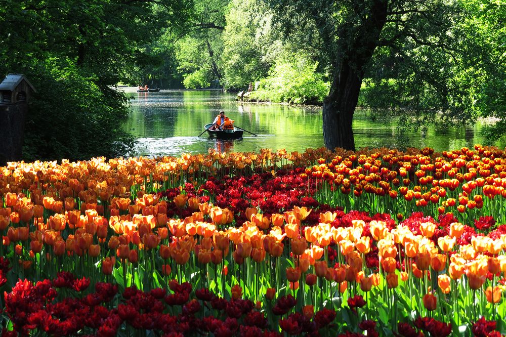 Photograph by Николай Останин