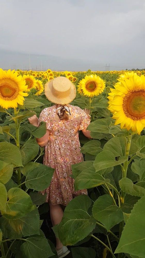 Фотография автора Ольга Мусина