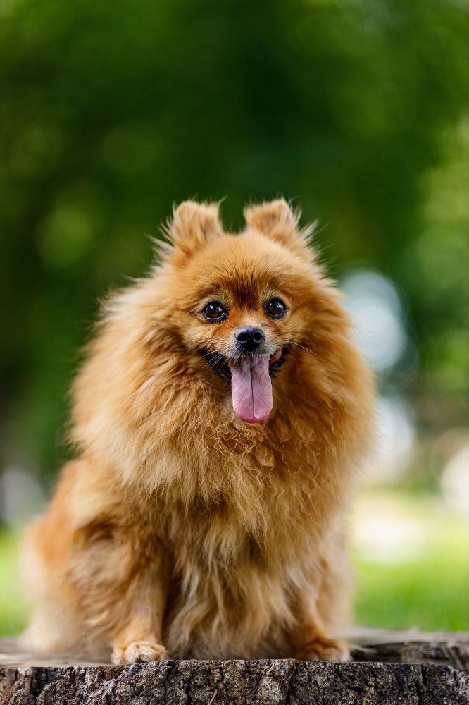 Фотография автора Александр Леонтьев