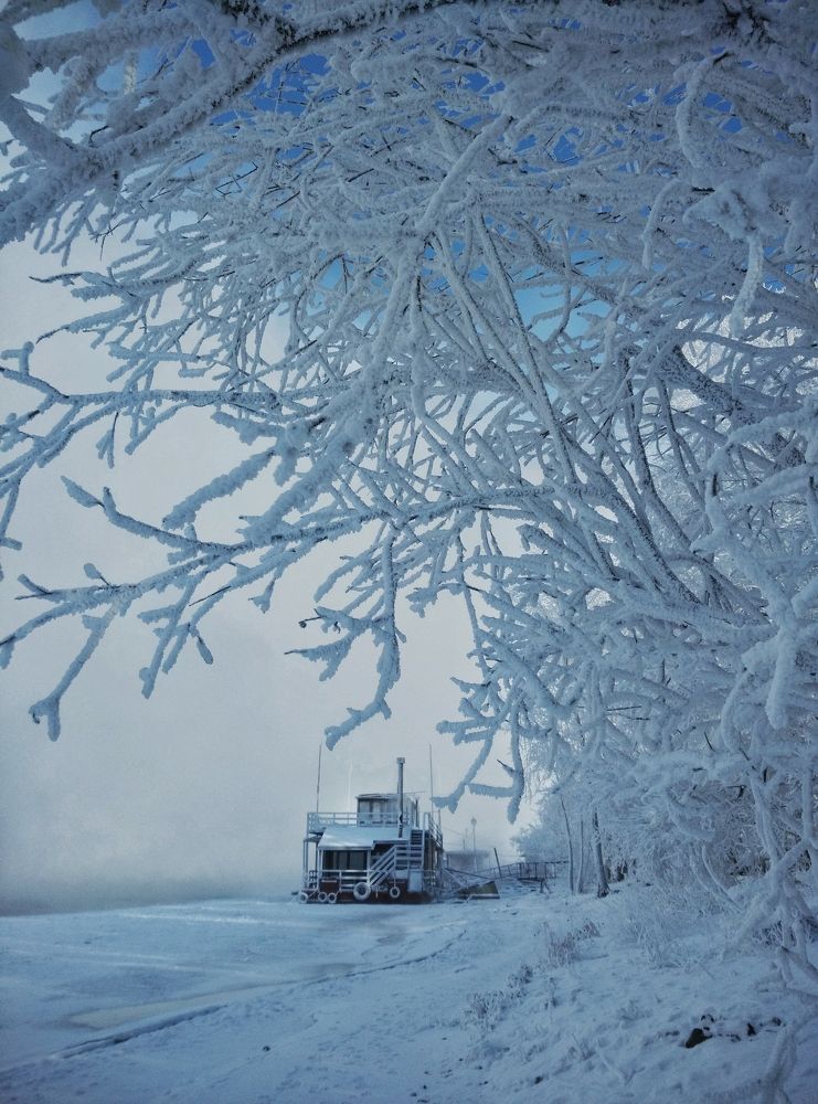 Photograph by Татьяна Лисянская
