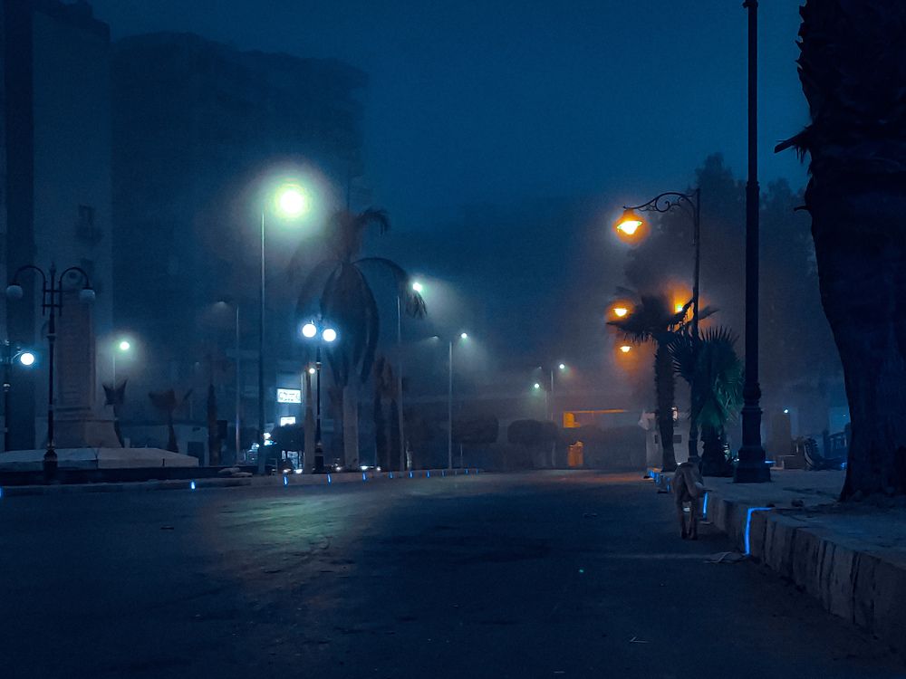 Photograph by Motaz Gohar