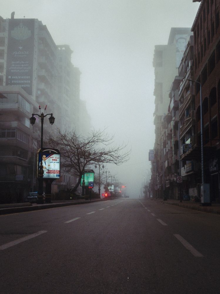 Photograph by Motaz Gohar