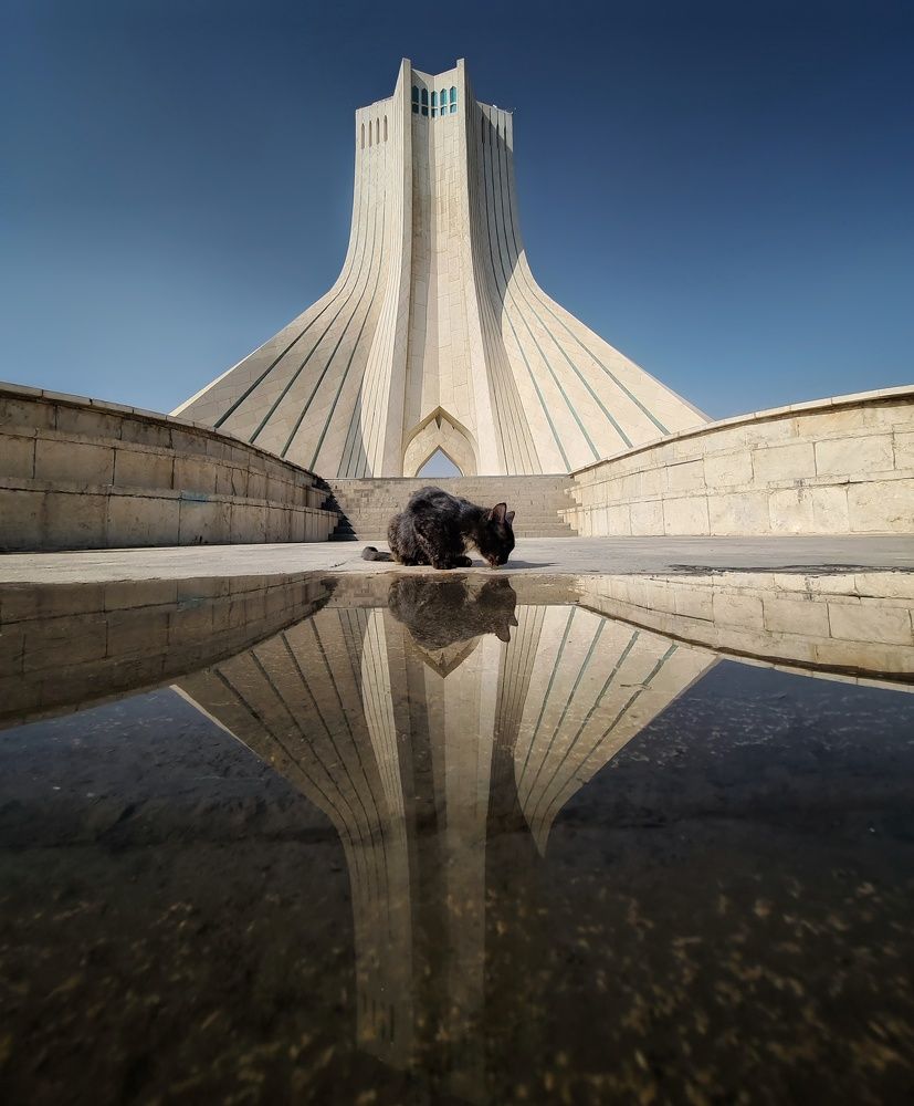 Photograph by Mohamad Jalilzadeh