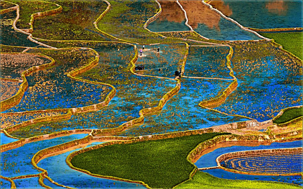 Photograph by Hà Thạnh