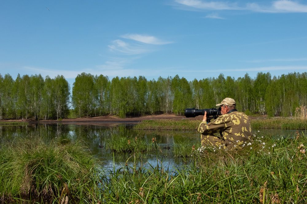 Photograph by Елена Вотинцева