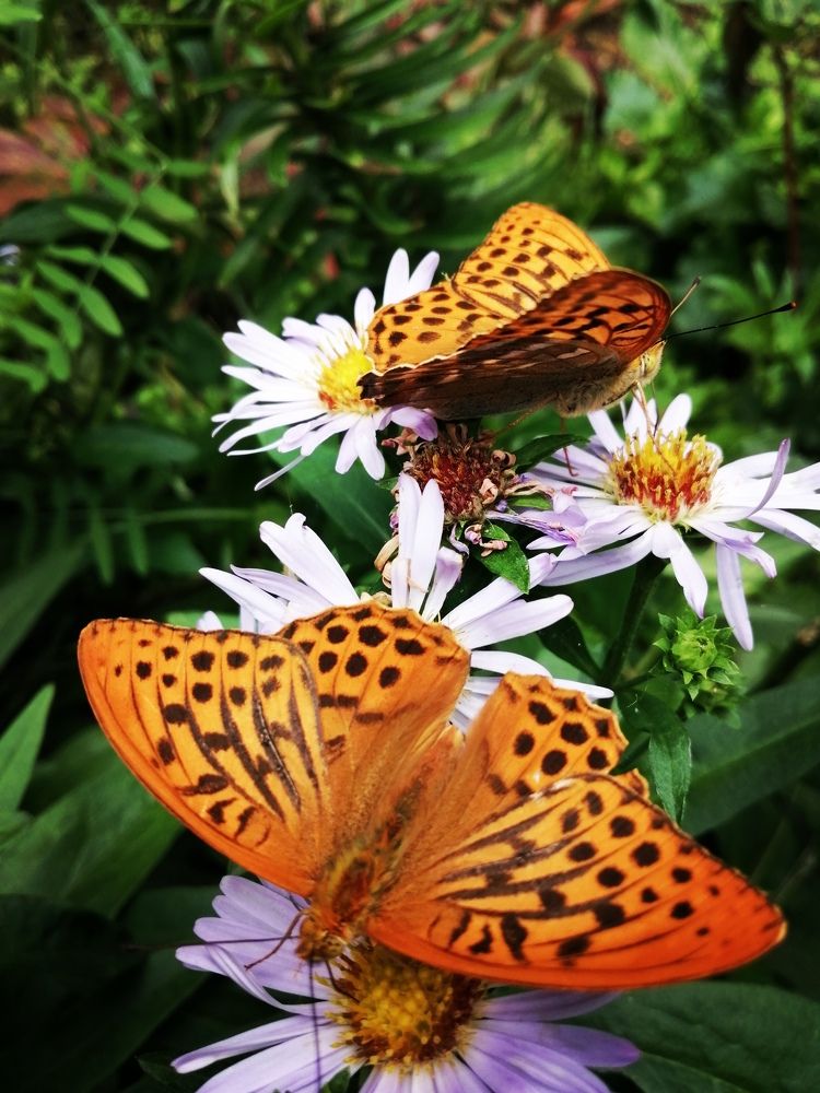 Photograph by Галина Смирнова